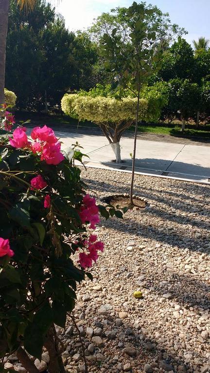 Hotel Y Club Campestre Altos Paraiso 푸에르토 에스콘디도 외부 사진