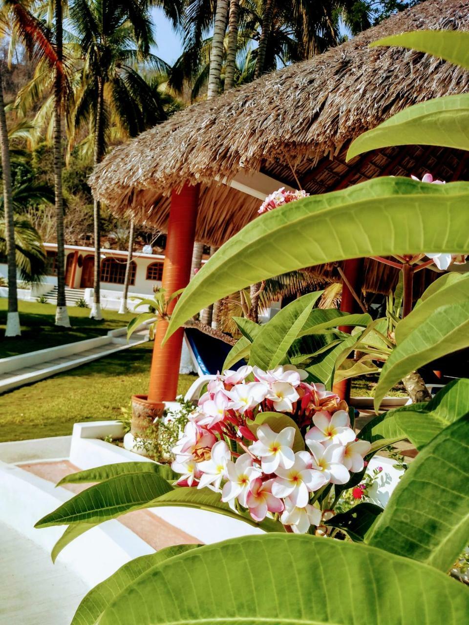 Hotel Y Club Campestre Altos Paraiso 푸에르토 에스콘디도 외부 사진