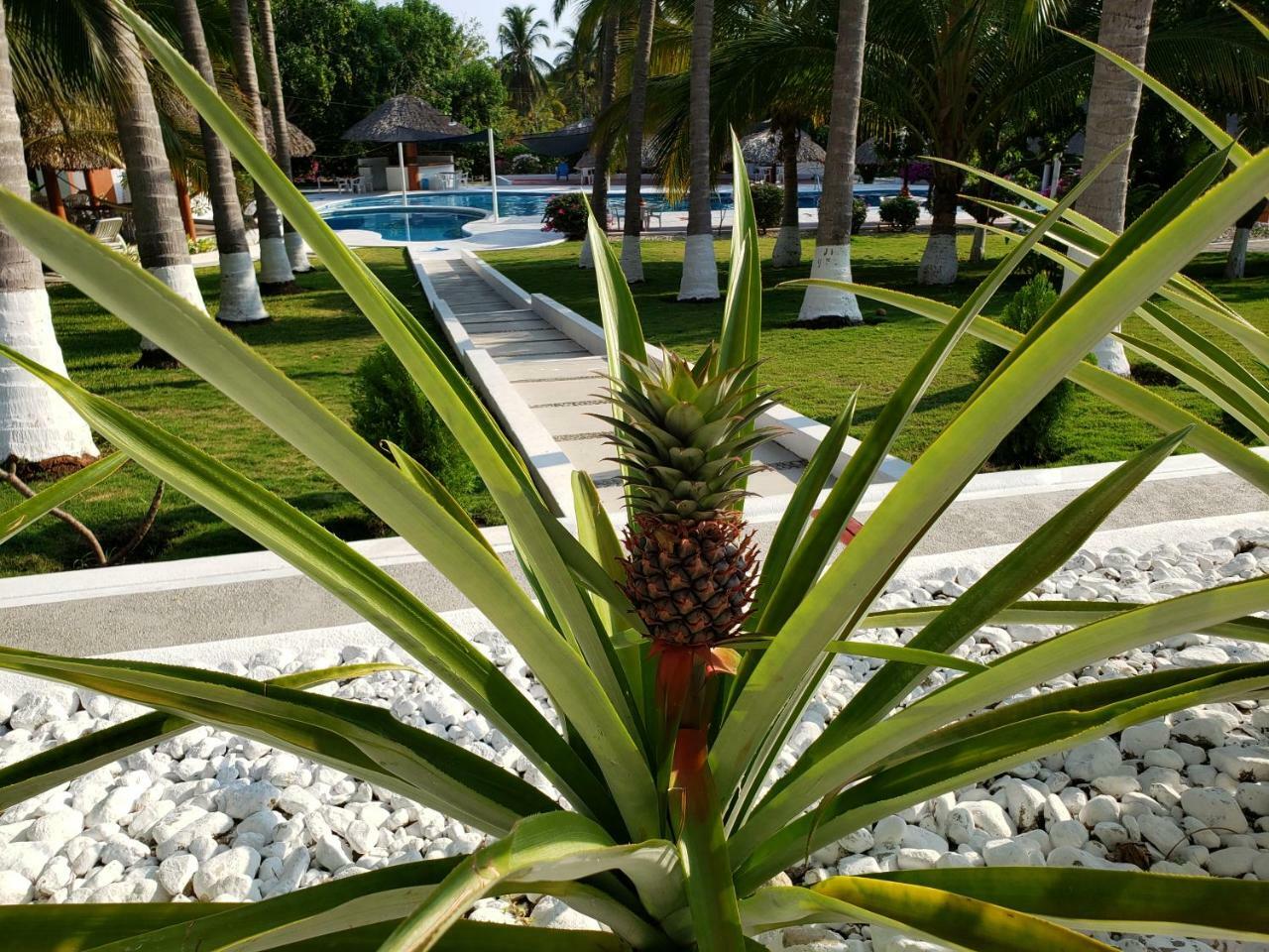 Hotel Y Club Campestre Altos Paraiso 푸에르토 에스콘디도 외부 사진