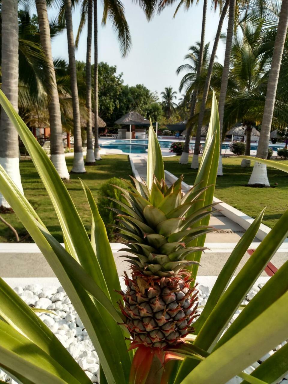 Hotel Y Club Campestre Altos Paraiso 푸에르토 에스콘디도 외부 사진